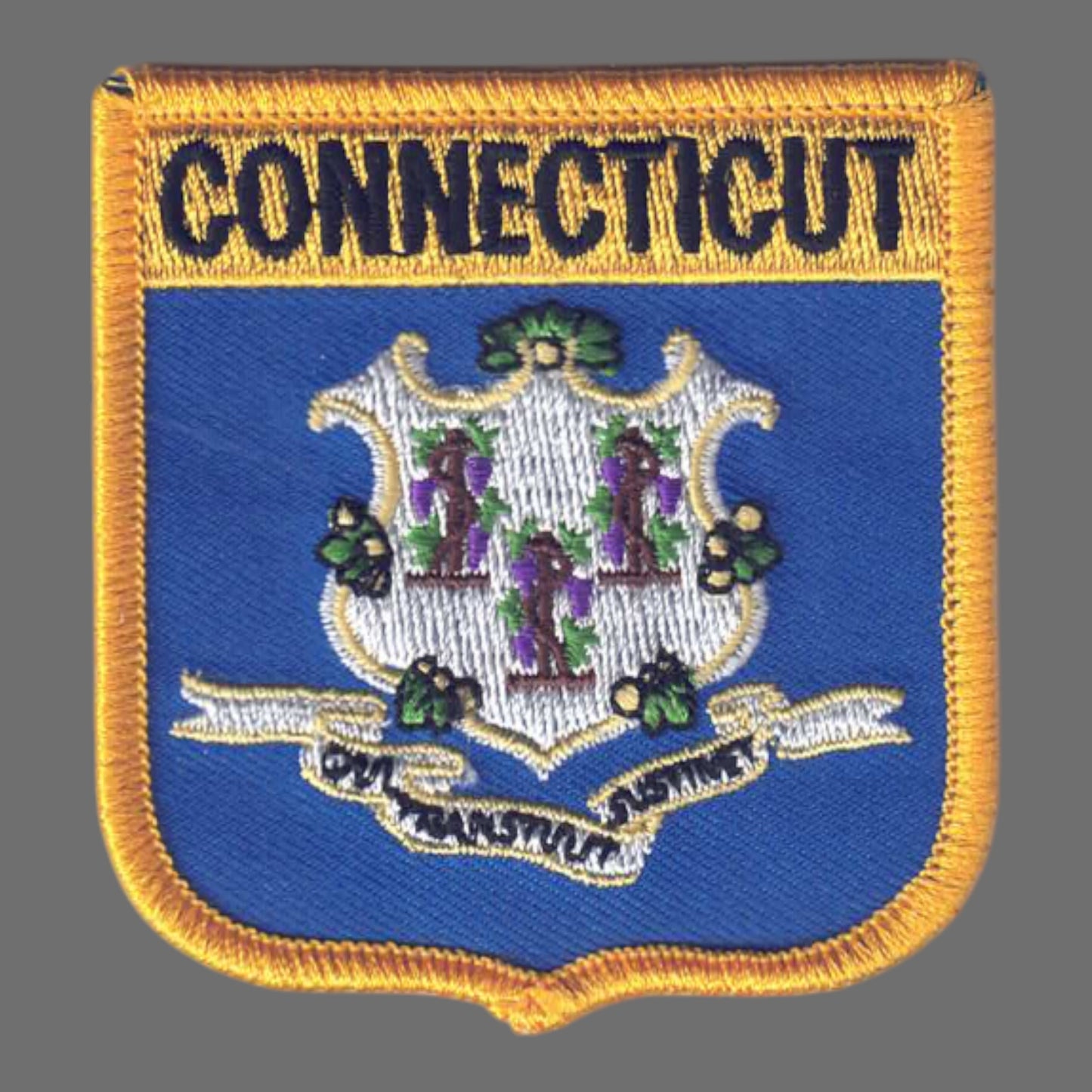 CONNECTICUT Med Flag Shield Patch - 1305