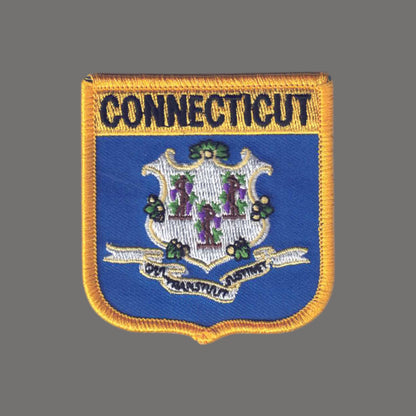 CONNECTICUT Med Flag Shield Patch - 1305