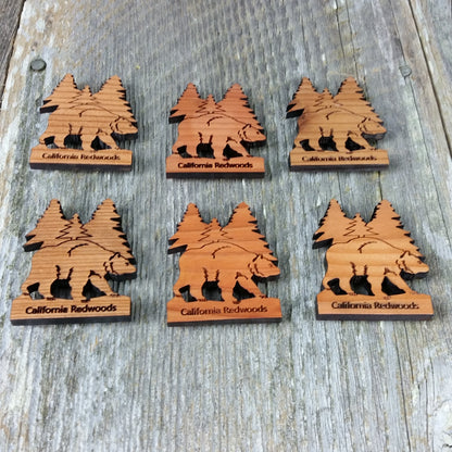 California Redwoods Bear Tree Wood Refrigerator Magnet Souvenir Made in USA - 4002