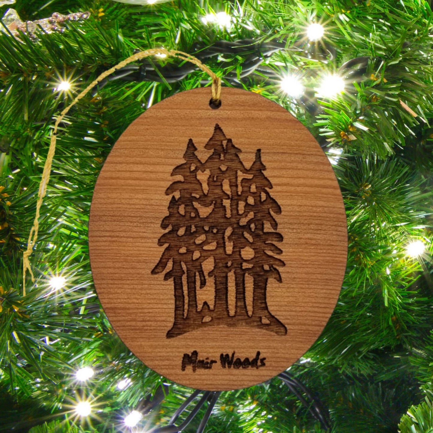Muir Woods Ornament - National Park Souvenir - Christmas Ornament - Handmade -  15018MW